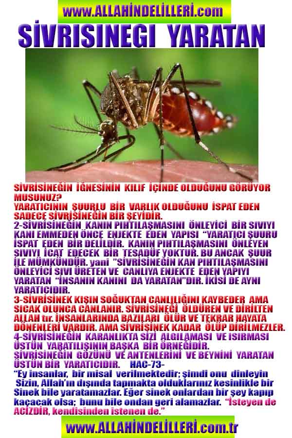 allahin-delilleri, allahin delilleri, allah delilleri, allahin varliginin delilleri, allah