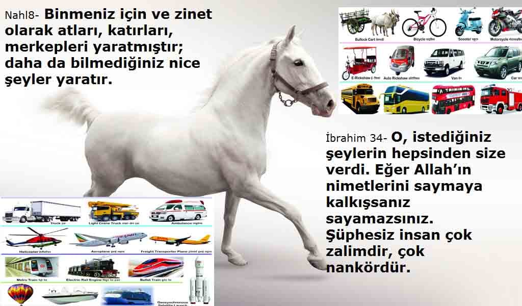 allahin-delilleri, allahin delilleri, allah delilleri, allahin varliginin delilleri